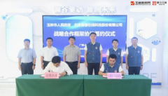 公司打算正在东盟、欧洲等全球抢手出海区域持